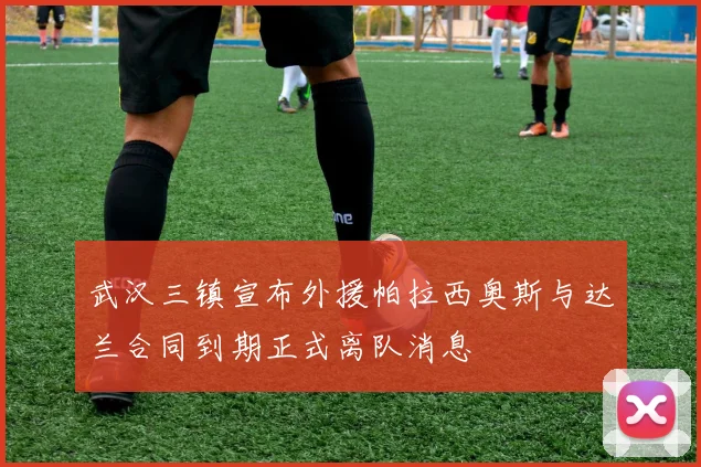 武汉三镇宣布外援帕拉西奥斯与达兰合同到期正式离队消息
