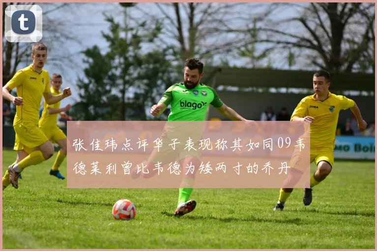 张佳玮点评华子表现称其如同09韦德莱利曾比韦德为矮两寸的乔丹